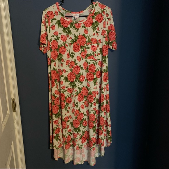 Lularoe Carly Dress Roses Size S *Leggings Material* - Picture 1 of 6